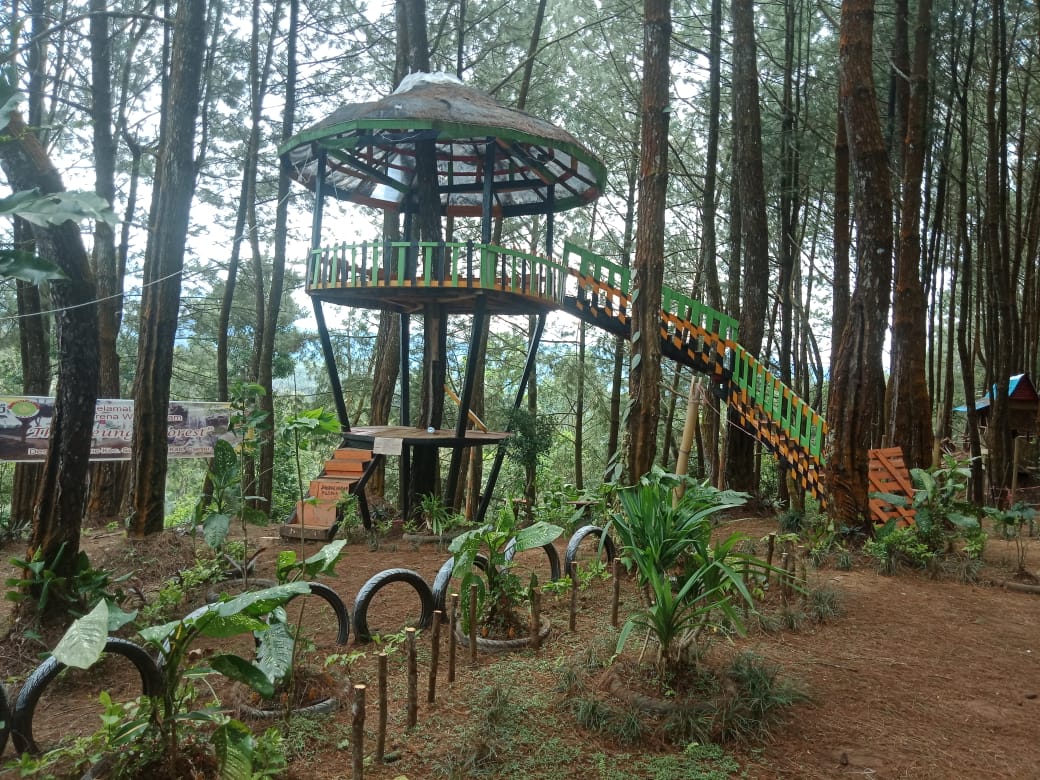 The Reungit Forest - 3